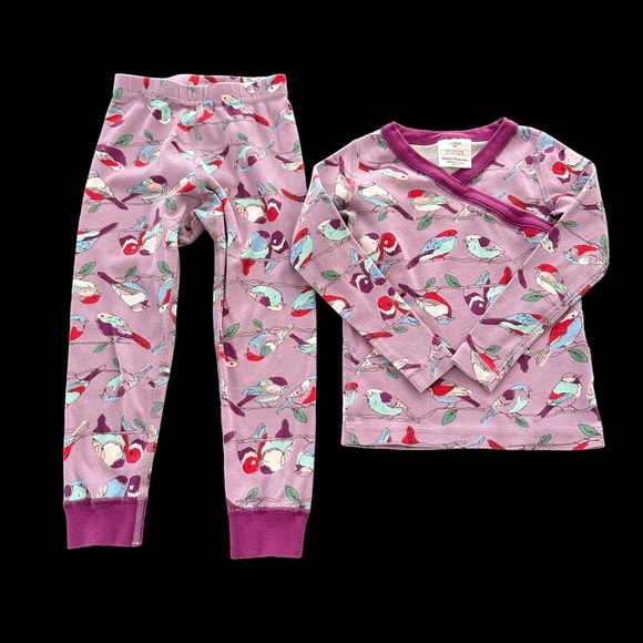 Hanna Andersson Other - Hanna Andersson size 4 Organic Cotton Purple Bird Print Pajama Set PJs Birds